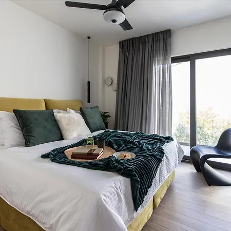 Ikies 3 Modern Eco-friendly Private Seaview Signature With A Pool Villa Volos